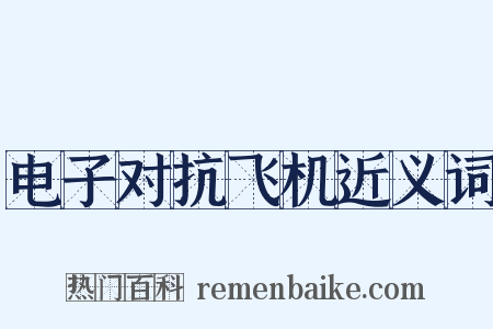电子对抗飞机近义词是什么意思的图片
